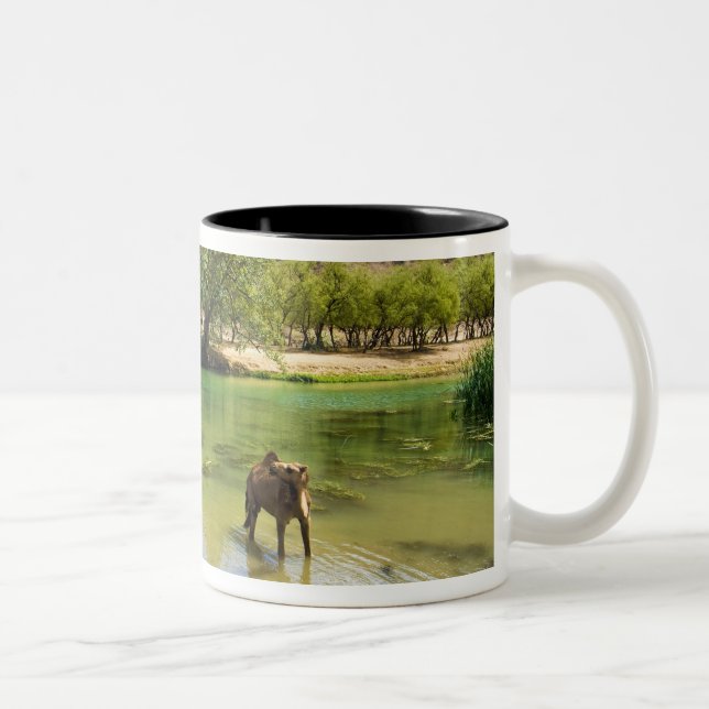 Caneca De Café Em Dois Tons Omã, Wadi darbat (Direita)
