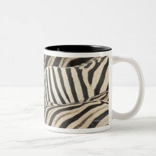 Caneca De Café Em Dois Tons Opinião aérea a zebra de Burchell