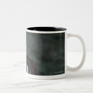 Caneca De Café Em Dois Tons Opinião traseira um cervo, Nova Zelândia
