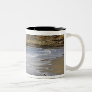 Caneca De Café Em Dois Tons OR, Costa do Oregon, Parque Estadual Seal Rock,