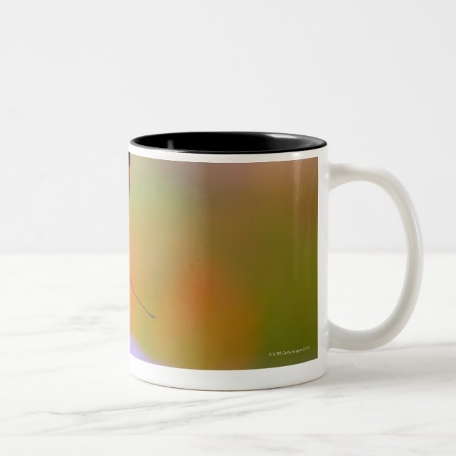 Caneca De Café Em Dois Tons oregon, EUA 2 (Direita)