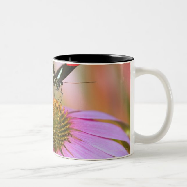 Caneca De Café Em Dois Tons oregon, EUA 3 (Direita)