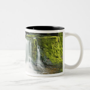 Caneca De Café Em Dois Tons Oregon, Waterfall no Willamette