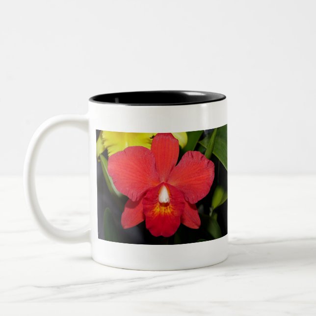 Caneca De Café Em Dois Tons Orquídea Vermelha Exótica (Esquerda)