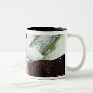 Caneca De Café Em Dois Tons Os cervos Branco-atados (virginianus do