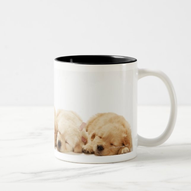 Caneca De Café Em Dois Tons Os filhotes de cachorro do golden retriever (Direita)
