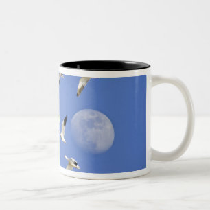 Caneca De Café Em Dois Tons Os gansos de neve tomam o vôo no lago NWR