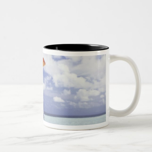 Caneca De Café Em Dois Tons Os peixes que saltam do aquário (Direita)