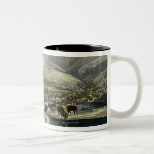 Caneca De Café Em Dois Tons Os rebanhos do bisonte e dos alces na parte
