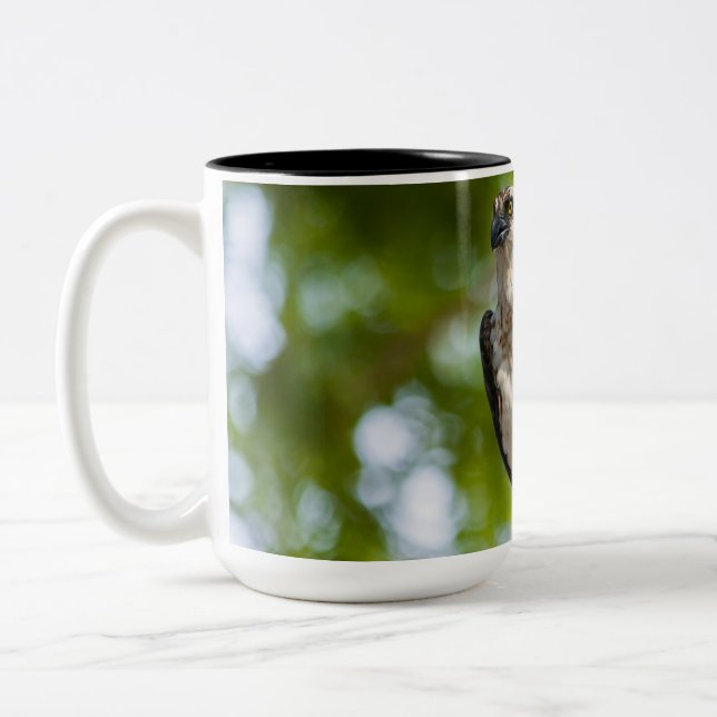 Caneca De Café Em Dois Tons Osprey no Colorado (Esquerda)