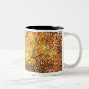 Caneca De Café Em Dois Tons Outono