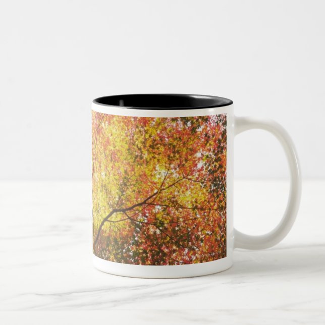 Caneca De Café Em Dois Tons Outono (Direita)