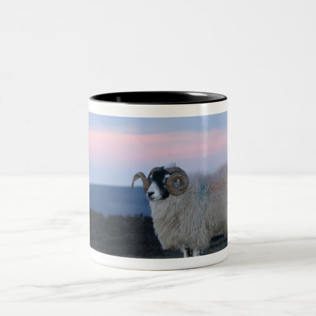 Caneca De Café Em Dois Tons Ovelha (Centro)