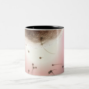 Caneca De Café Em Dois Tons Ovo que está sendo fertilizado pelo esperma