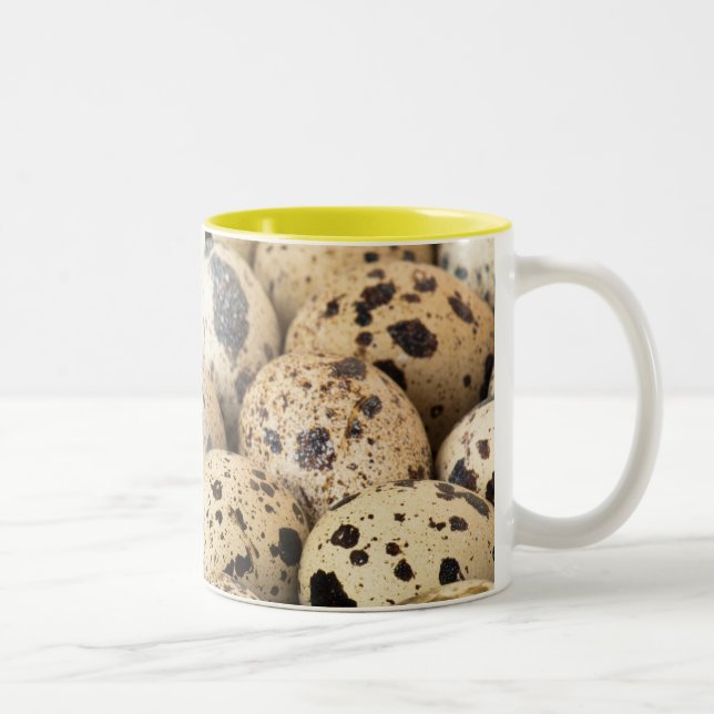 Caneca De Café Em Dois Tons Ovos de codorniz (Direita)