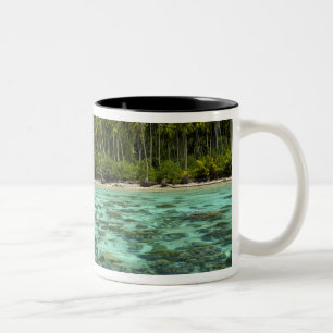 Caneca De Café Em Dois Tons Pacífico Sul, Polinésia Francesa, Moorea 3