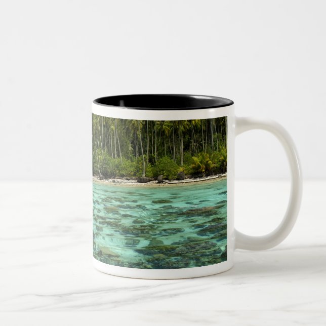 Caneca De Café Em Dois Tons Pacífico Sul, Polinésia Francesa, Moorea 3 (Direita)