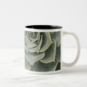 Caneca De Café Em Dois Tons Padrão de cacto