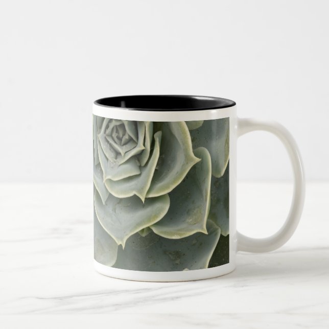 Caneca De Café Em Dois Tons Padrão de cacto (Direita)