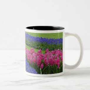 Caneca De Café Em Dois Tons Padrão de Jacinto-de-uva, tulipas e