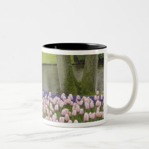 Caneca De Café Em Dois Tons Padrão de tulipas e flores de hyacinth de uva,