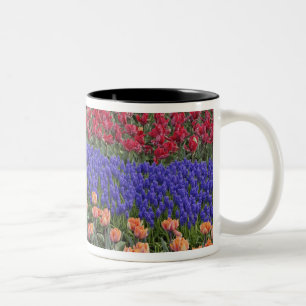 Caneca De Café Em Dois Tons Padrão de tulipas e flores de Jacinto de Uva, 3
