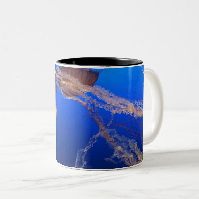 Caneca De Café Em Dois Tons Paisagem Bela (Frente Esquerda)