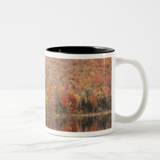 Caneca De Café Em Dois Tons Paisagem de outono com lago, Vermont, EUA 2 (Direita)