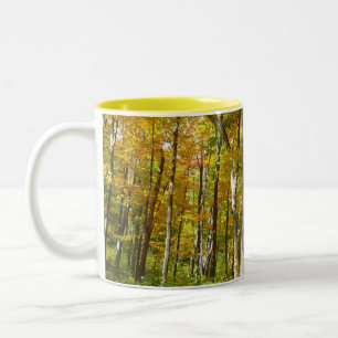 Caneca De Café Em Dois Tons Paisagem de outono de Folhas Amarelas na Floresta
