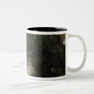Caneca De Café Em Dois Tons Paisagem do rio