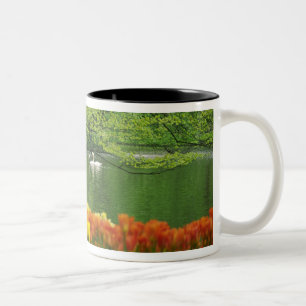 Caneca De Café Em Dois Tons Países Baixos, Lisse. Cisnes brancos no lago em me