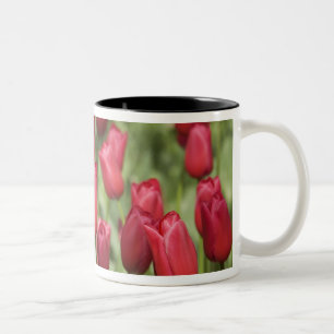 Caneca De Café Em Dois Tons Países Baixos (também conhecido como Holanda), Lis