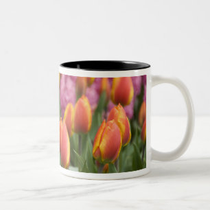 Caneca De Café Em Dois Tons Países Baixos (também conhecido como Holanda), Lis
