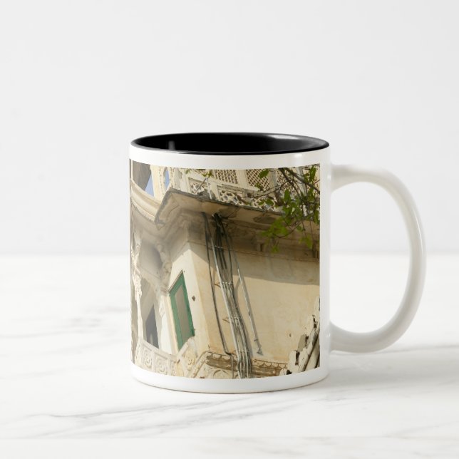 Caneca De Café Em Dois Tons Palácio da Cidade, Udaipur, Rajastão, Índia (Direita)