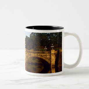Caneca De Café Em Dois Tons Palácio Imperial, Ponte Nijubashi, Tóquio, Japã