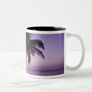 Caneca De Café Em Dois Tons Palmeira solitária ao pôr do sol, praia Coconut Gr