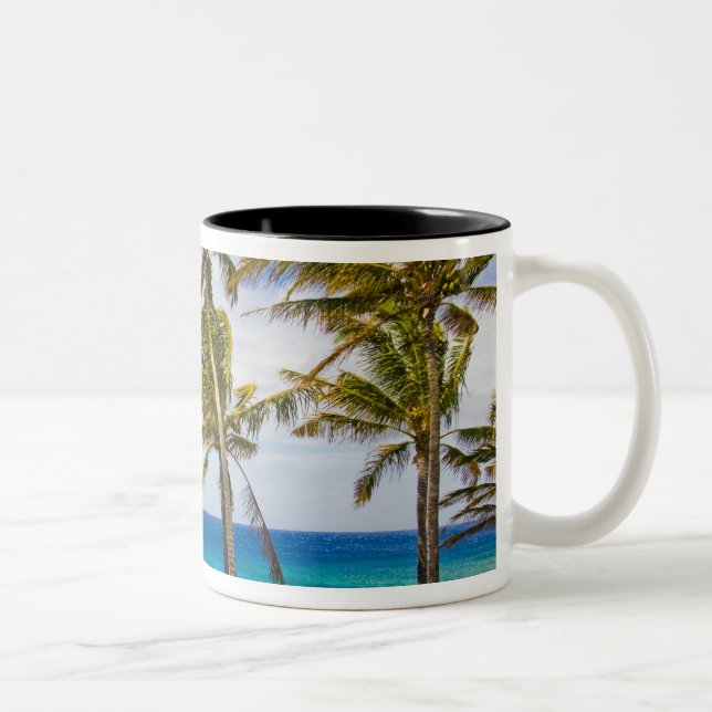 Caneca De Café Em Dois Tons Palmeiras de coco (Cocos nucifera) balançando ao (Direita)