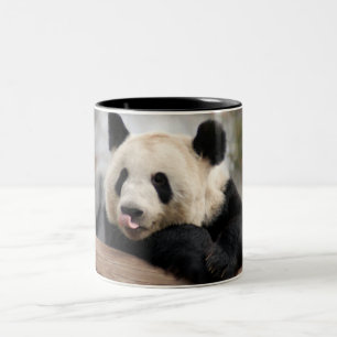 Caneca De Café Em Dois Tons PandaM021