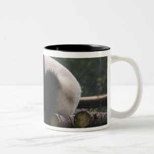 Caneca De Café Em Dois Tons Pandas gigantes no Giant Panda Protection & 3