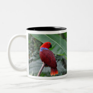 Caneca De Café Em Dois Tons Papagaio ecléctico vermelho