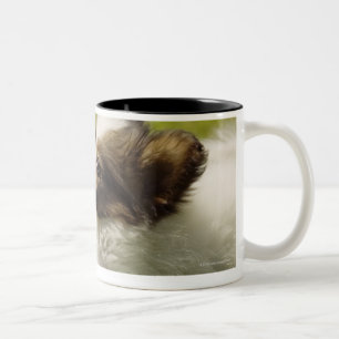 Caneca De Café Em Dois Tons Papillon 2