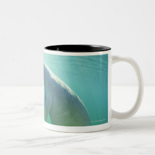 Caneca De Café Em Dois Tons Pares de peixes-boi de florida que nadam