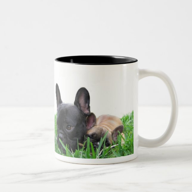 Caneca De Café Em Dois Tons Paris e Monaco na grama (Direita)