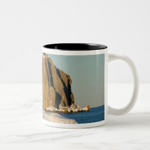 Caneca De Café Em Dois Tons Parque Estadual Farol Split Rock no Lago