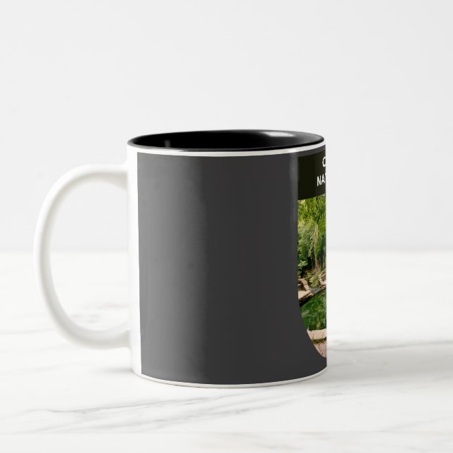 Caneca De Café Em Dois Tons Parque Nacional Chickasaw - Oklahoma (Esquerda)