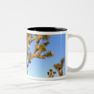 Caneca De Café Em Dois Tons Parque Nacional da Árvore de Josué, Califórnia. EU