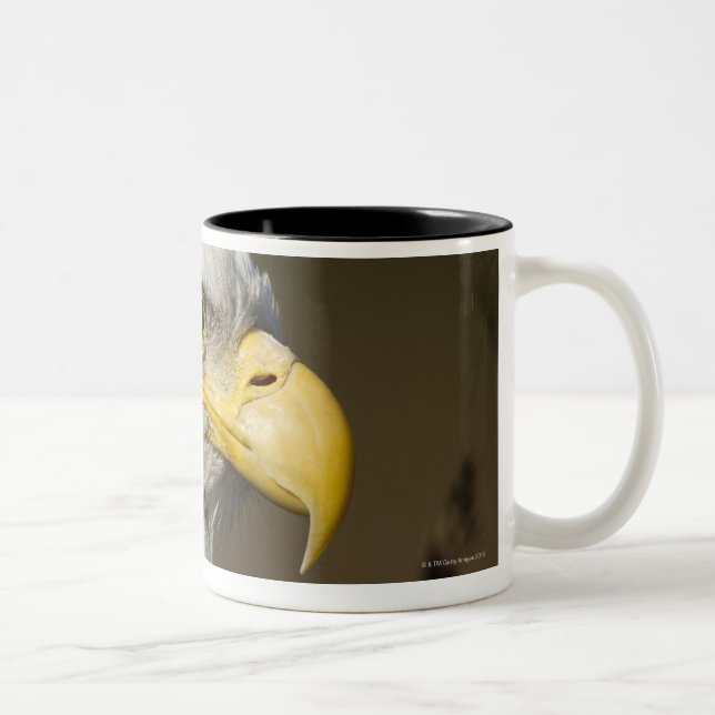 Caneca De Café Em Dois Tons Parque nacional de Katmai, Alaska (Direita)