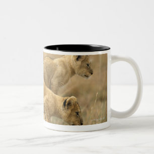 Caneca De Café Em Dois Tons Parque nacional de Serengeti, Tanzânia 2