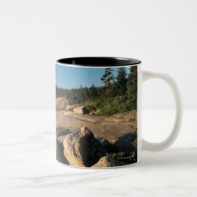 Caneca De Café Em Dois Tons Parque nacional do Acadia, Maine 2 (Direita)