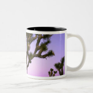 CANECA DE CAFÉ EM DOIS TONS PARQUE NACIONAL JOSHUA TREE, CALIFÓRNIA. EUA.